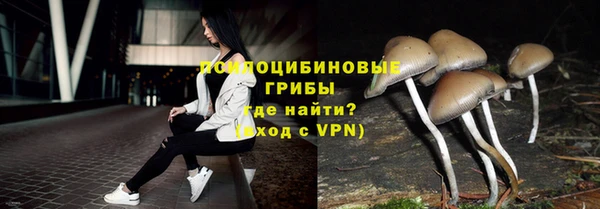стаф Волоколамск