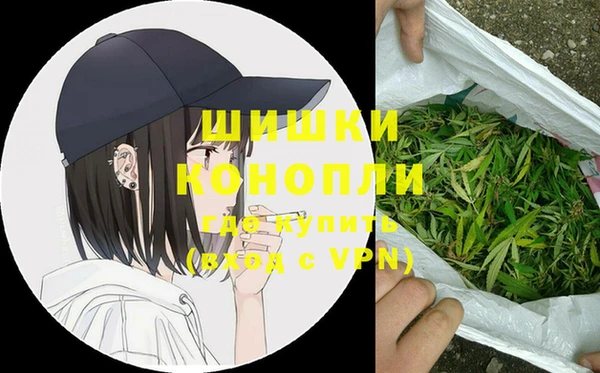 стаф Волоколамск